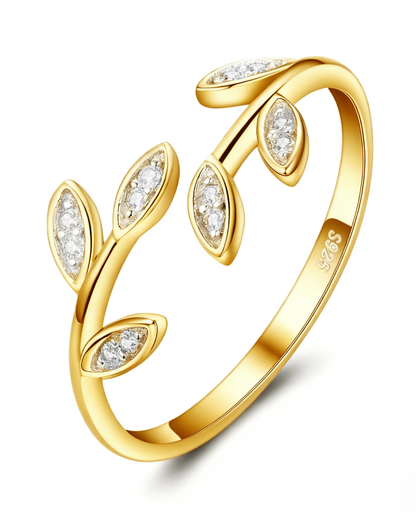 Ring Hopey