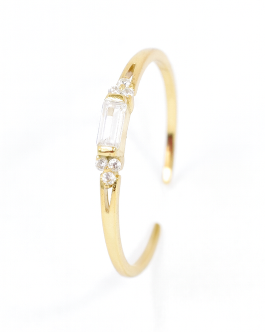 Ring Riobu