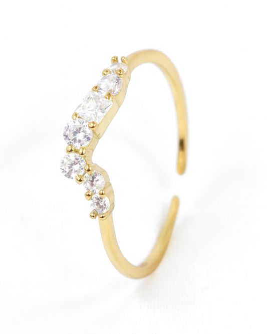Ring Savanna