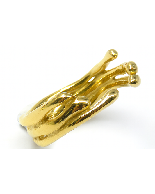 Ring Zaka